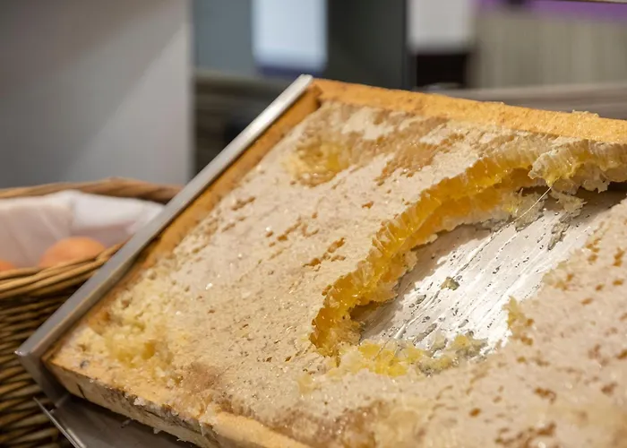 Le Palme Maggiore Bike Friendly (adults Only)