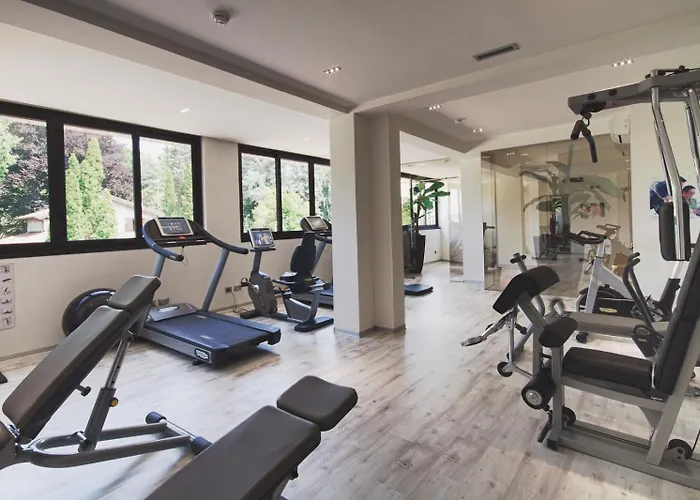 Le Palme Maggiore Bike Friendly (adults Only) 호텔 3*