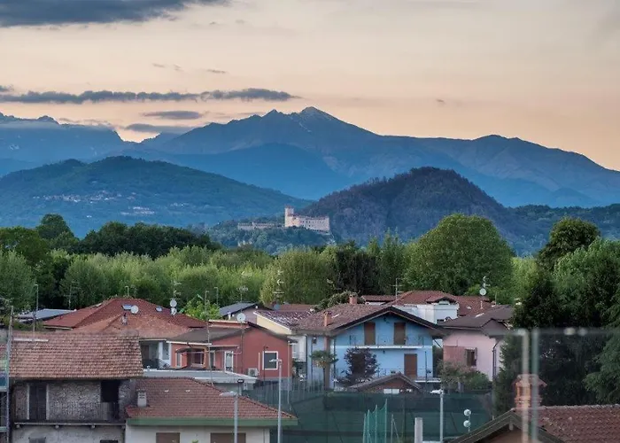 호텔 Le Palme Maggiore Bike Friendly (adults Only) 도멜레토