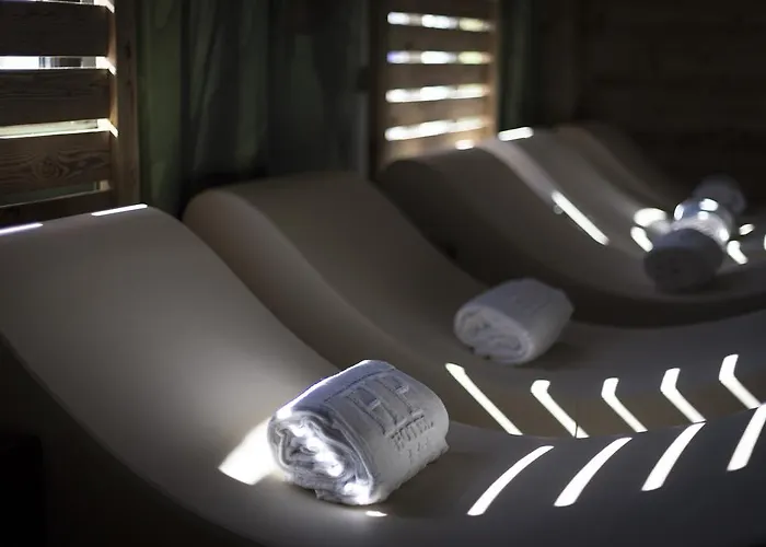 מלון Le Palme Maggiore Bike Friendly (adults Only) 3*